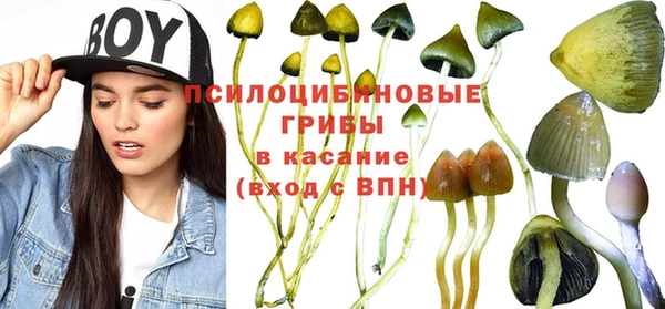 синтетический гашиш Каменногорск