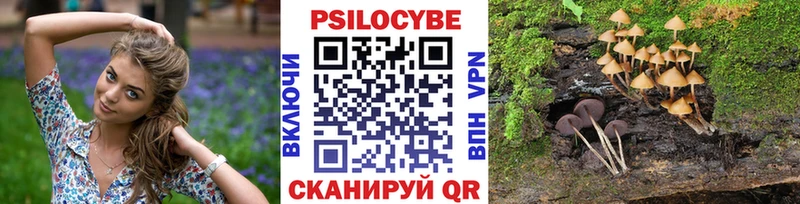 Галлюциногенные грибы Psilocybine cubensis  Ялта 